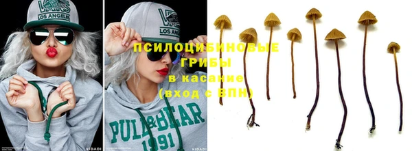 бошки Горнозаводск
