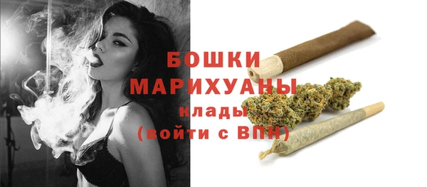 бошки Горнозаводск