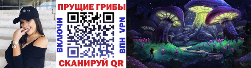 блэк спрут как войти Магнитогорск Псилоцибиновые грибы Psilocybe